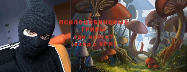 твердый Алексеевка