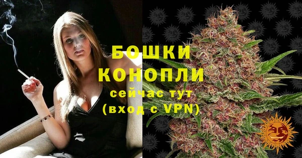 PSILOCYBIN Сатка