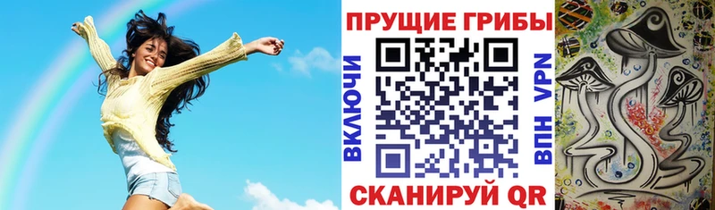 Галлюциногенные грибы MAGIC MUSHROOMS  где найти   Грязовец 