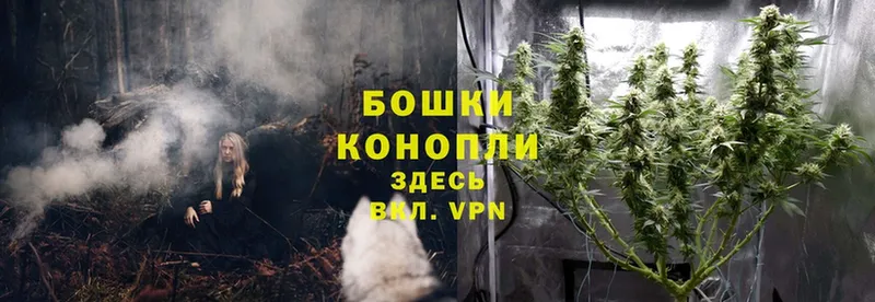 Канабис White Widow  Грязовец 